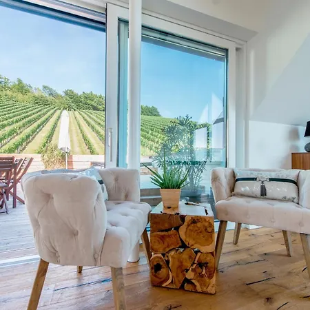 Weingut Holler * Spielfeld