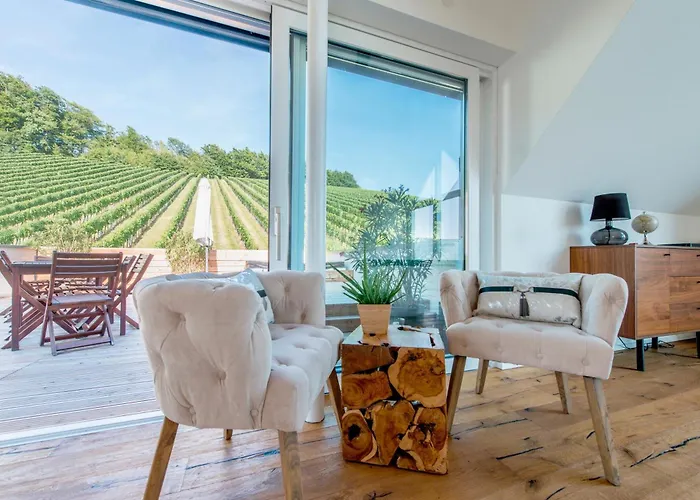 Weingut Holler * Spielfeld