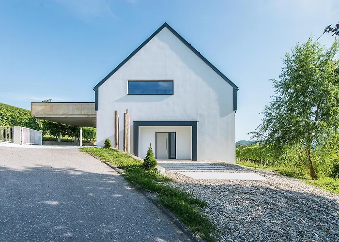 Weingut Holler Spielfeld